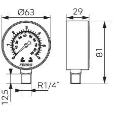 Manometru radial Ferro M6306R, 63 mm, 1/4", 0-6 bar
