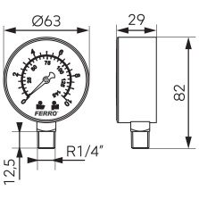 Manometru radial Ferro M6310R, 63 mm, 1/4", 0-10 bar