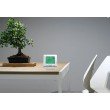Termostat de ambient Homplex DG909 RF fara fir programabil