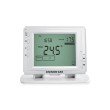 Termostat de ambient Homplex DG909 RF fara fir programabil