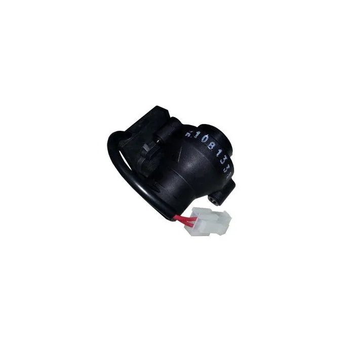 Fluxostat Immergas Victrix R 1I, Victrix 2I Export