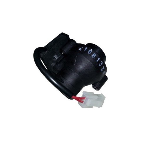 Fluxostat Immergas Victrix R 1I, Victrix 2I Export