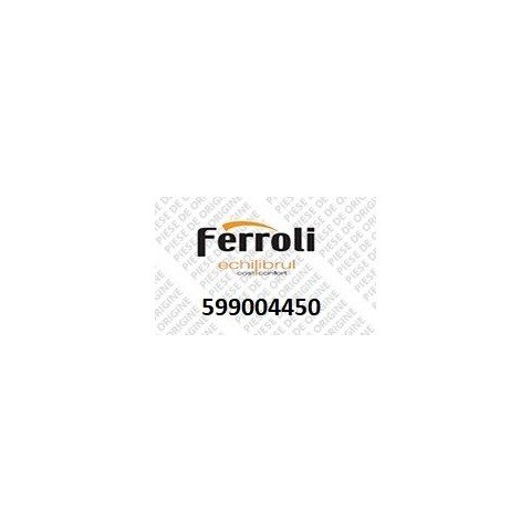Placa electronica termosemineu Ferroli Termogiove 24, 30