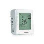 Termostat de ambient Homplex DG909 cu fir programabil