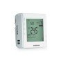 Termostat de ambient Homplex DG909 RF fara fir programabil